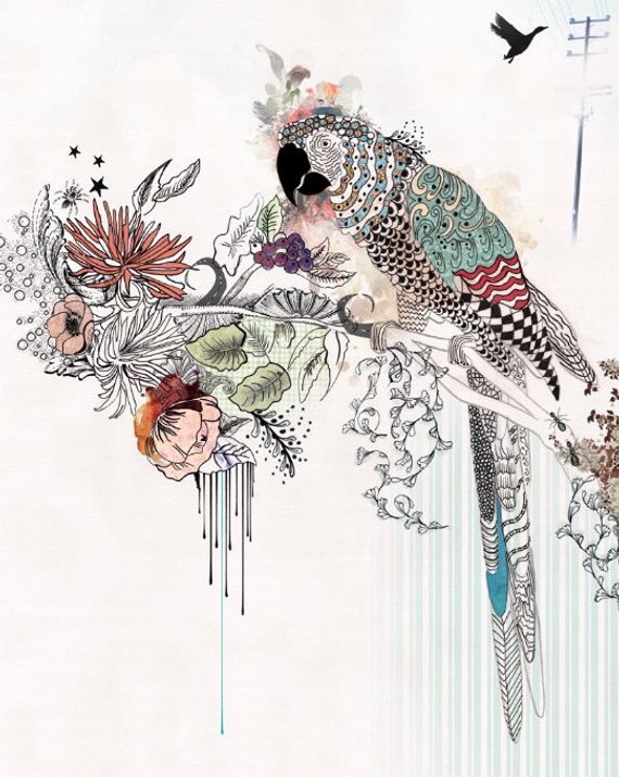 570x715 Pictures Pen And Ink Drawings With Watercolor, - Watercolor Pen And Ink Art