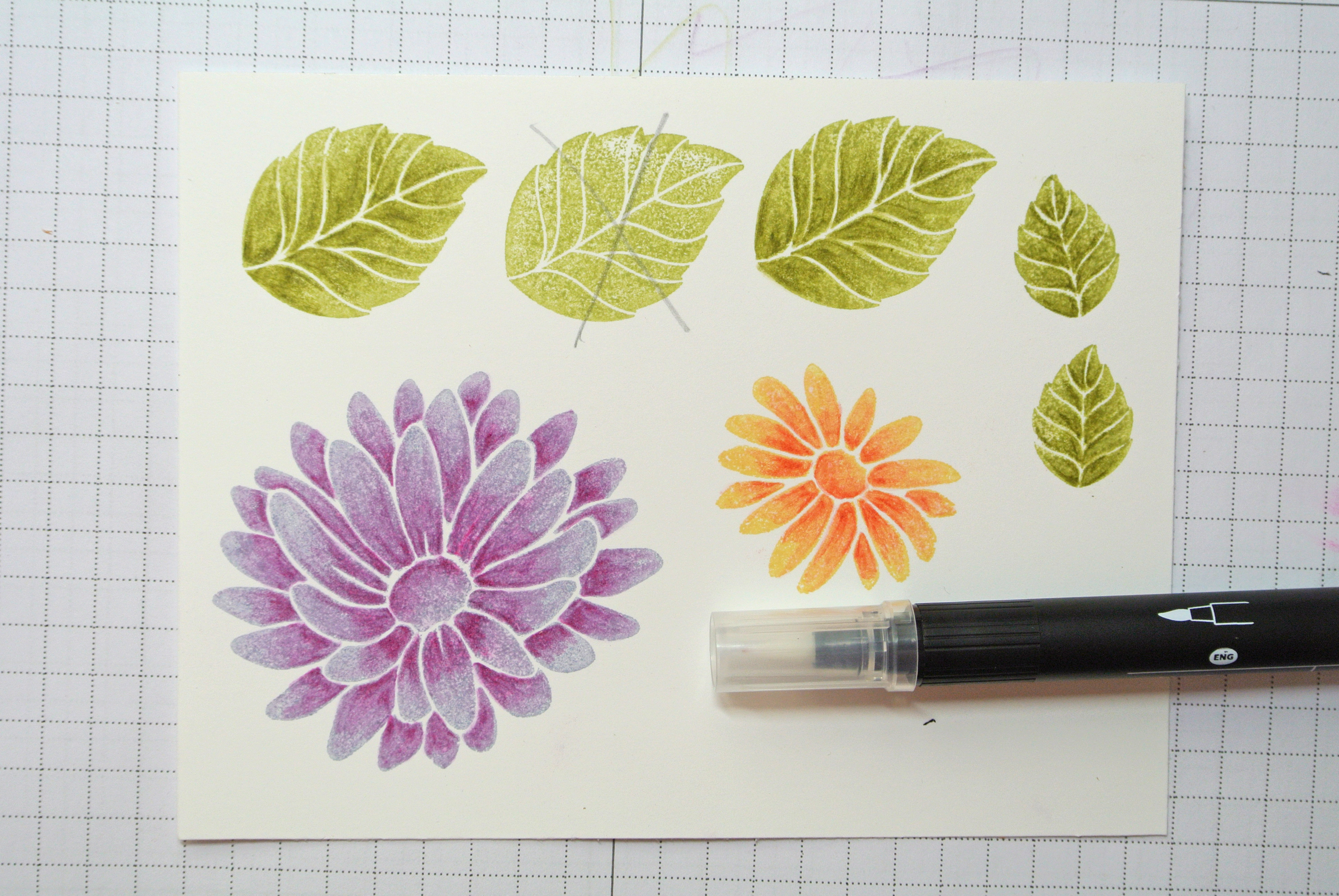 3872x2592 Watercolor Pencil Technique Swimming In Stamps - Watercolor Pencil Flowers