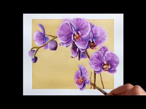 480x360 Watercolor Pencil Techniques How To Paint Flowers - Watercolor Pencil Flowers