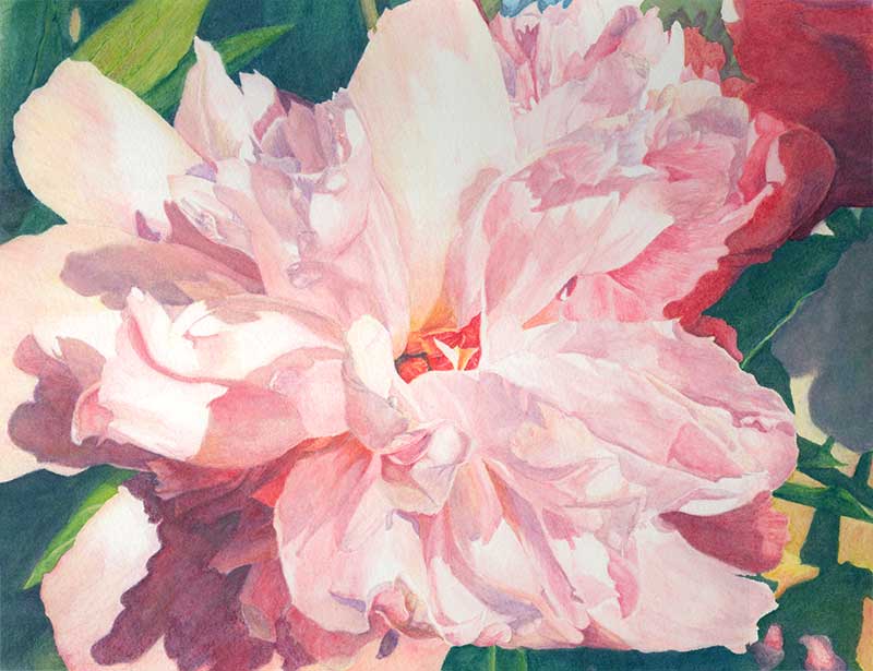 800x615 Watercolor Pencil Artwork [Archive] - Watercolor Pencil Flowers