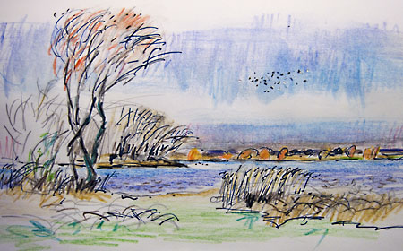 450x280 Watercolour Pencil And Fountain Pen Sketch Of Lapwings Over Water - Watercolor Pencil Landscape