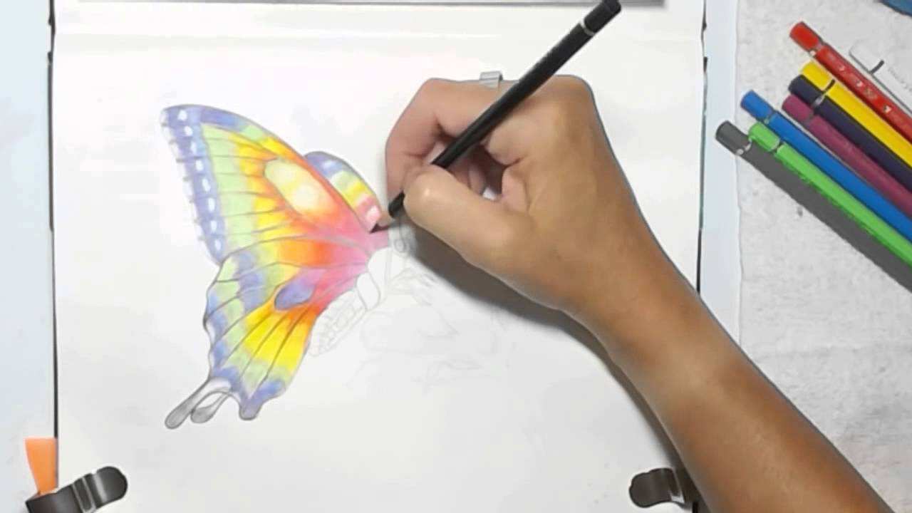 1280x720 Pencil Painting Unique Painting A Watercolor Pencils Butterfly By - Watercolor Pencil Pictures