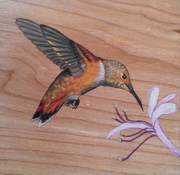 597x582 Wild Elements - Watercolor Pencils On Wood