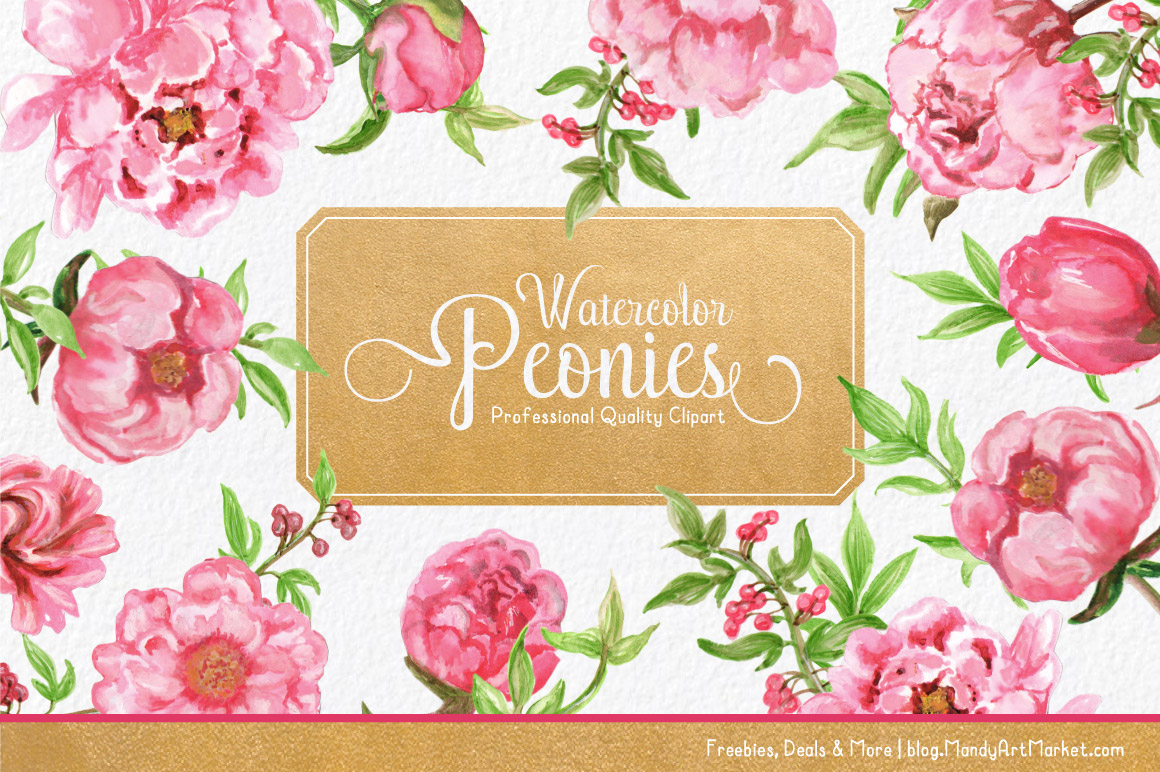 1160x772 Watercolor Peonies Clipart - Watercolor Peony Clipart