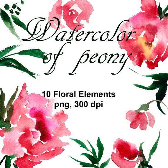 570x570 Watercolor Peonies Clipart. Watercolor Floral Clipart. Etsy - Watercolor Peony Clipart