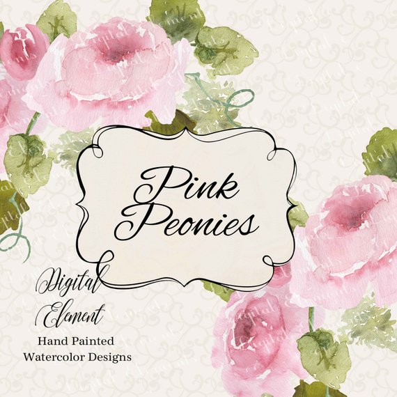 570x570 Watercolor Peony Clip Art Pink Wedding Peonies Watercolor Etsy - Watercolor Peony Clipart
