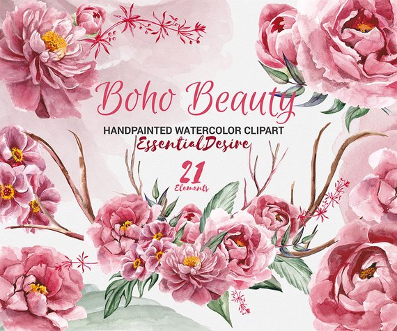 570x475 Peonies Clipart Watercolor Peony Hand Painted Clip Art Etsy - Watercolor Peony Clipart