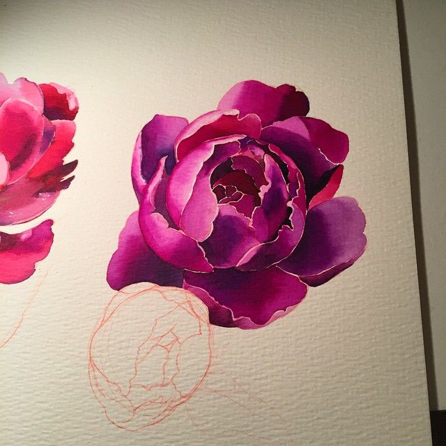 640x640 Crazy Saturday Night A Couple More Hours Into This Peonies - Watercolor Peony Tattoo