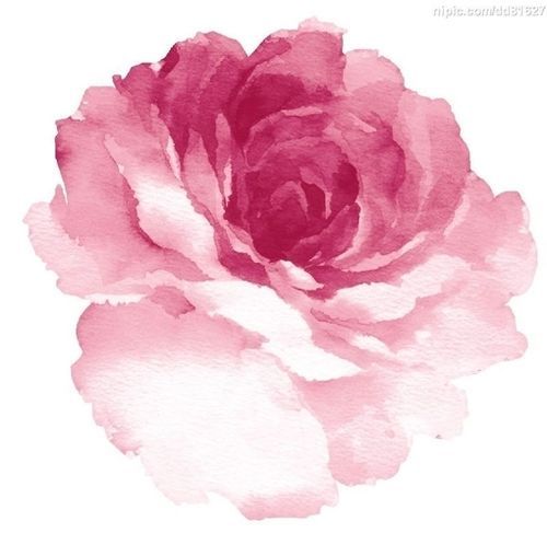 500x487 Cf0962b21a084ac02e91e8fb6c13eaca.jpg Projects To Try - Watercolor Peony Tattoo