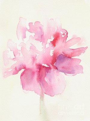 Watercolor Peony Wallpaper at PaintingValley.com | Explore collection ...