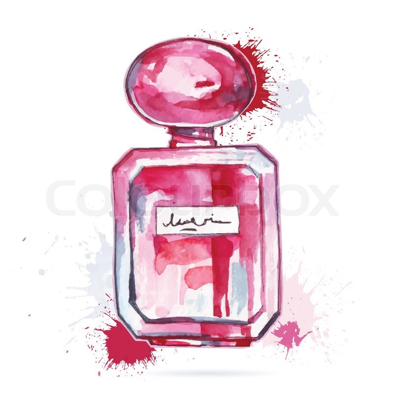 800x800 Beautiful Perfume Bottle. Hand Drawn Watercolor Vector - Watercolor Perfume