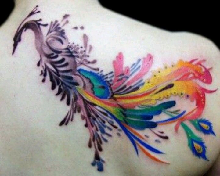 721x577 Watercolor Phoenix Tattoo On Upper Back - Watercolor Phoenix
