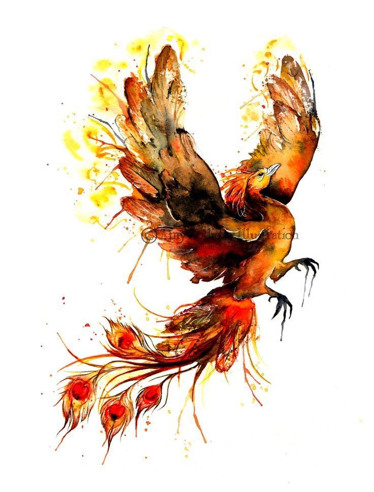 736x966 Watercolor Phoenix Tattoo - Watercolor Phoenix