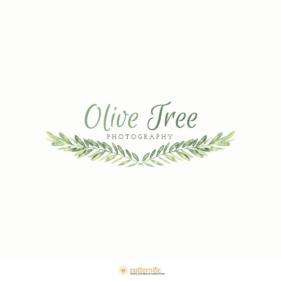 570x570 Photography Logos Watercolor Logo Design Olive Branch Laurel Logo - Watercolor Photography Logo
