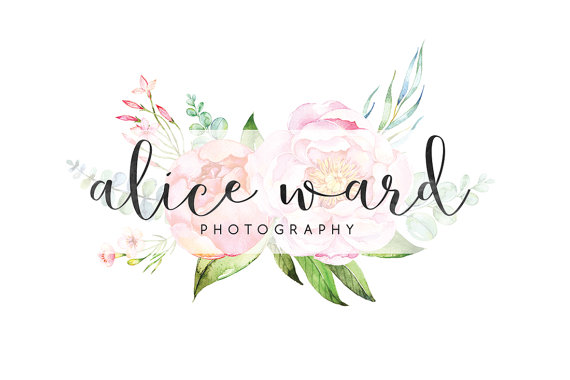 570x380 Watercolor Photography Logo Calligraphy Logo Cute Logo - Watercolor Photography Logo
