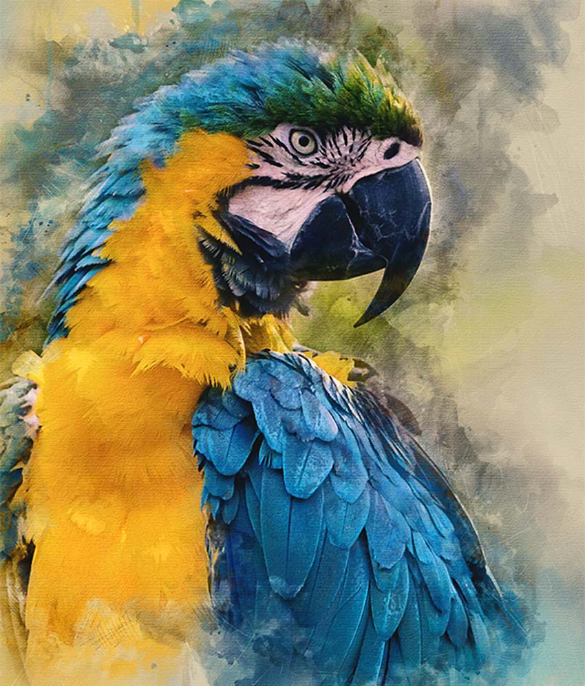 850x997 How To Create Cool Watercolor Effects In Photoshop - Watercolor Photoshop