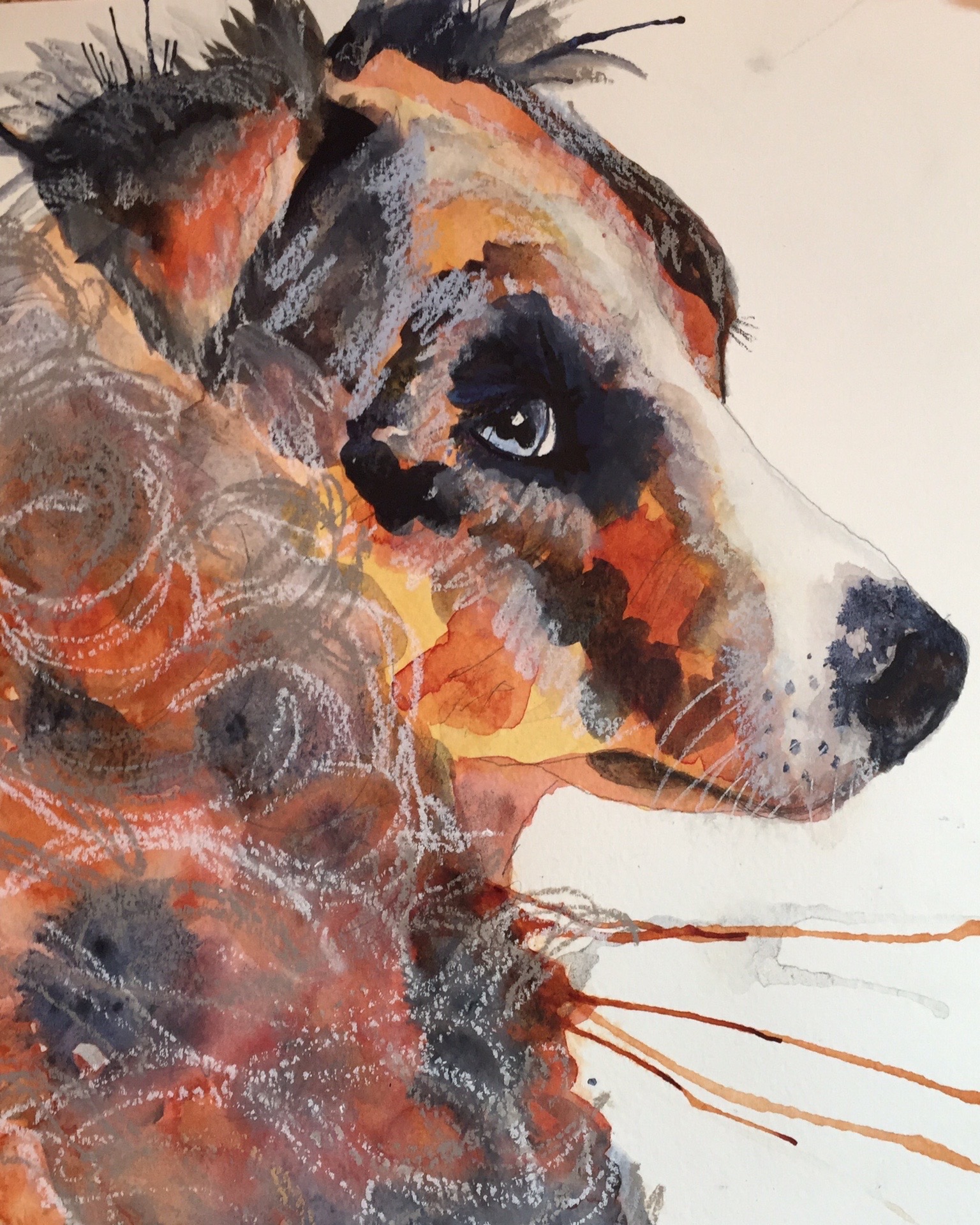 1536x1920 Ne Watercolor Animals - Watercolor Pictures Of Animals