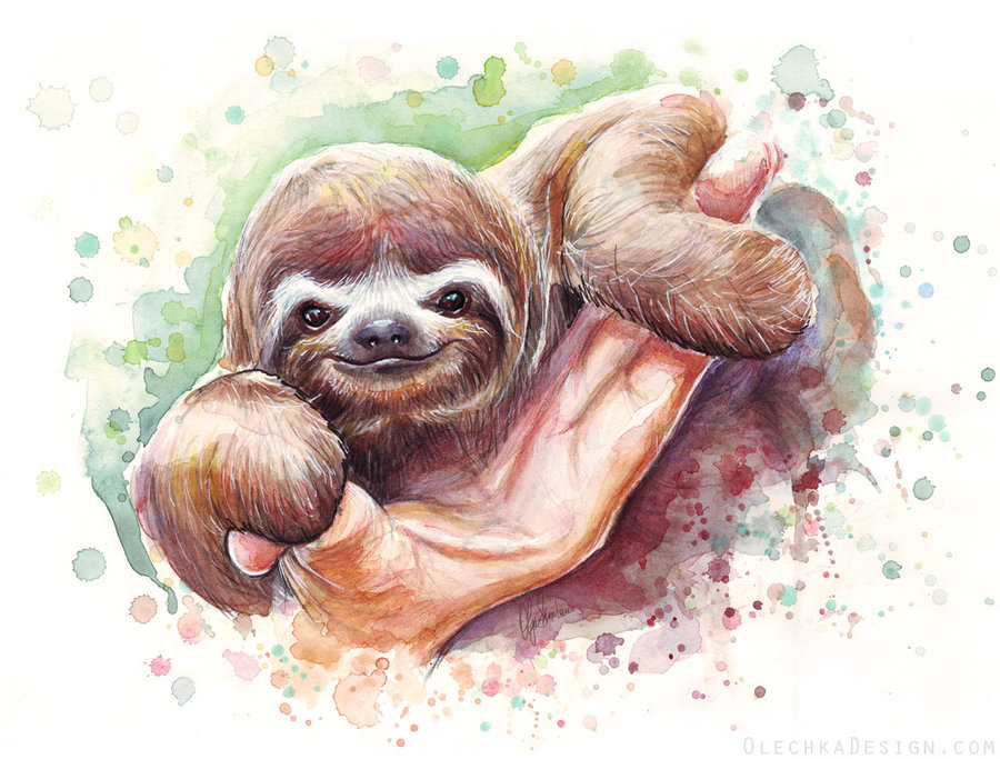 900x683 Baby Sloth Watercolor Animal Art By Olechka01 - Watercolor Pictures Of Animals