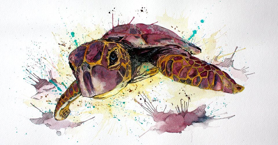 960x502 Beautifully Vibrant Watercolors Of Wild Animals - Watercolor Pictures Of Animals