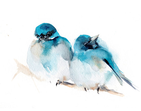 570x448 Blue Birds Couple Fine Art Print, Bird Watercolor Painting Art - Watercolor Pictures Of Birds