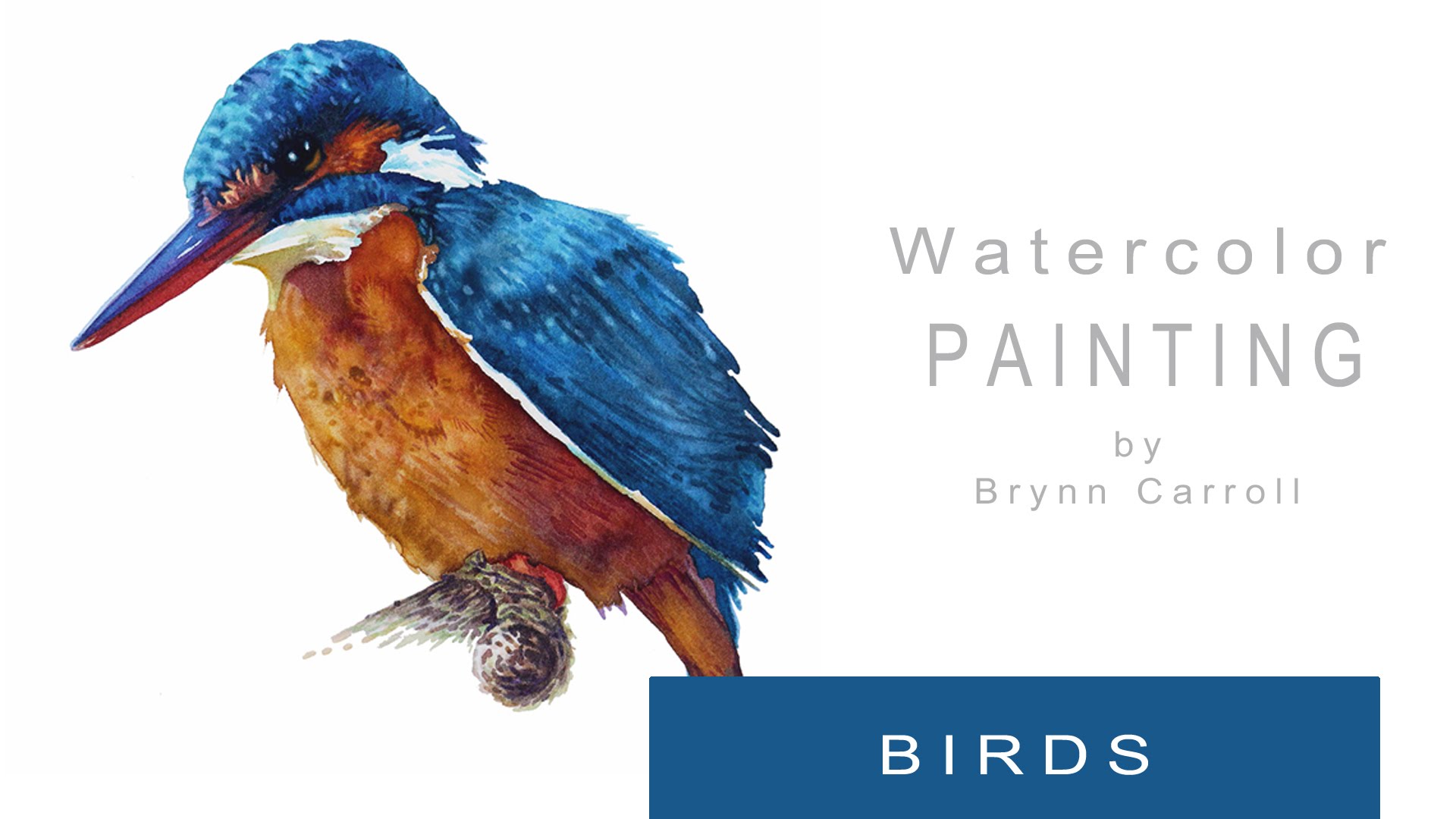 1920x1080 How To Paint Realistic Birds With Watercolors - Watercolor Pictures Of Birds
