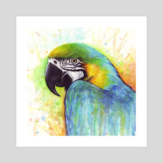 540x540 Macaw Parrot Bird Watercolor Painting, An Art Print By Olga - Watercolor Pictures Of Birds