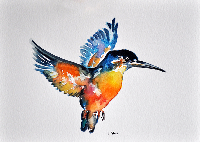 700x498 S. Peters Art Watercolor Birds - Watercolor Pictures Of Birds