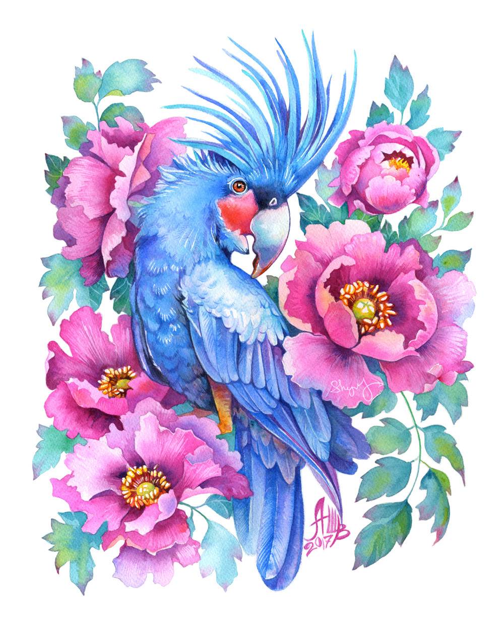 1000x1250 Anna Bucciarelli - Watercolor Pictures Of Birds