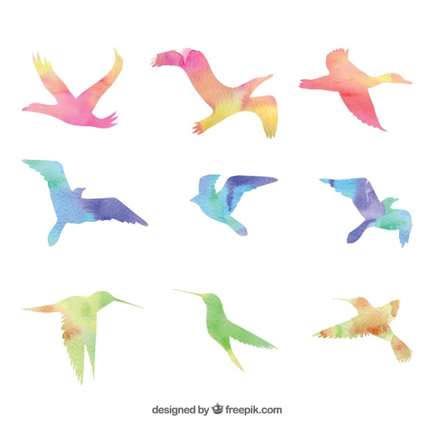 626x626 Watercolor Birds Vector Free Download - Watercolor Pictures Of Birds