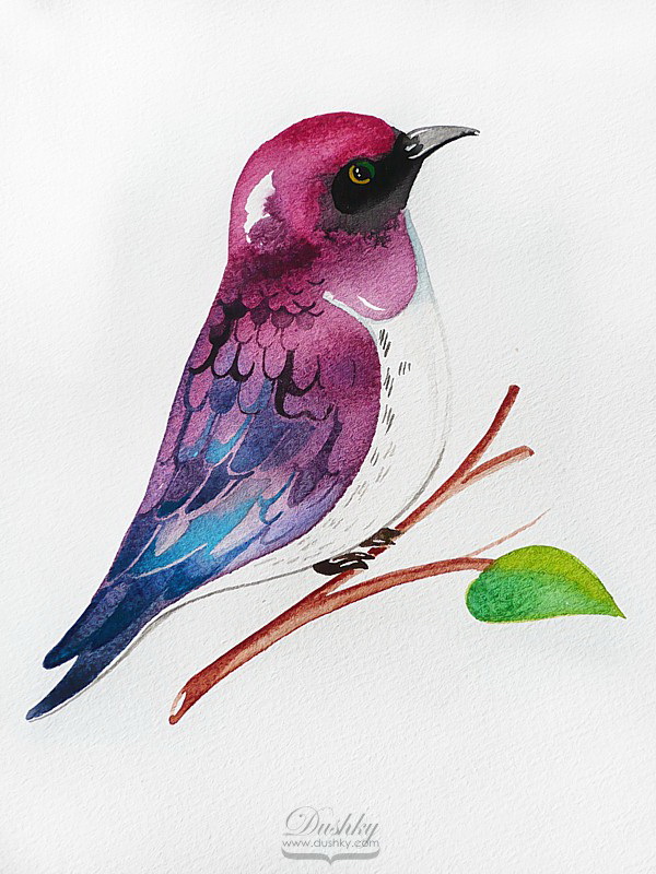 600x800 Watercolor Birds - Watercolor Pictures Of Birds