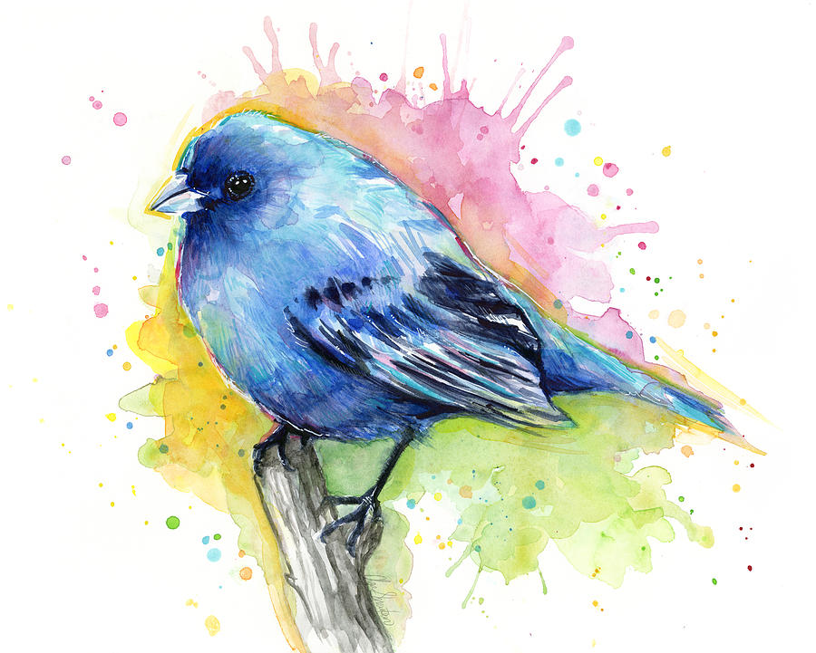 900x721 Bird Watercolor Paintings Fine Art America - Watercolor Pictures Of Birds