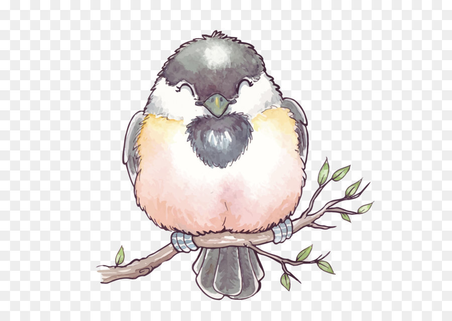 900x640 Bird Watercolor Painting - Watercolor Pictures Of Birds