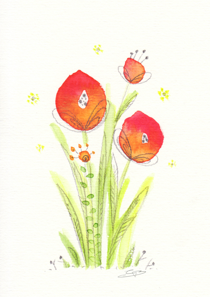 707x1000 Watercolor Flowers Caroline Van Borm - Watercolor Pictures Of Flowers