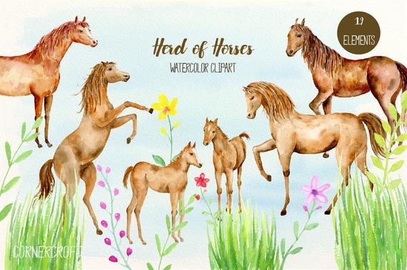 570x379 Horse Clip Art Herd Of Horses Watercolor Horse Horse - Watercolor Pictures Of Horses