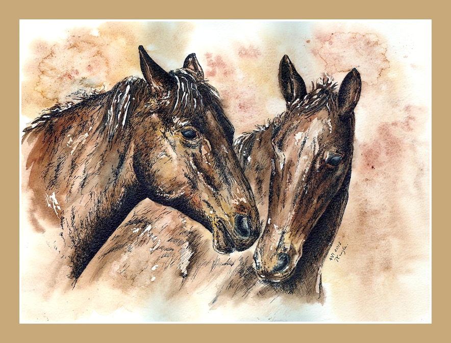 884x673 Horses - Watercolor Pictures Of Horses