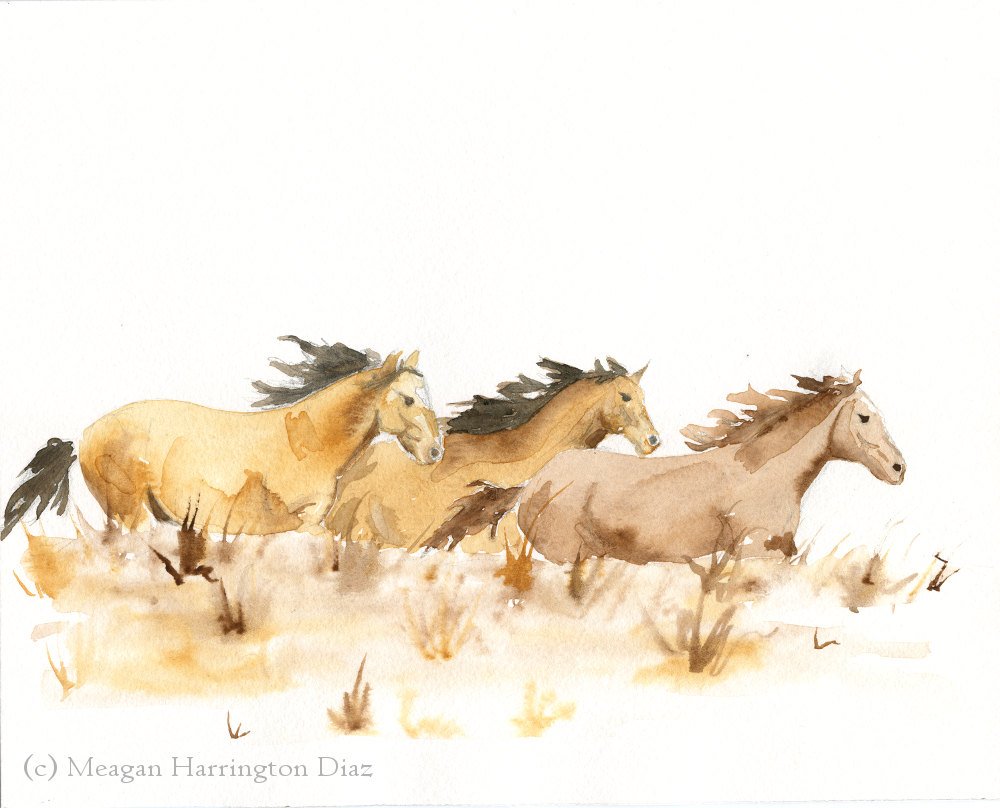 1000x808 Photos Watercolor Paintings Of Horses, - Watercolor Pictures Of Horses