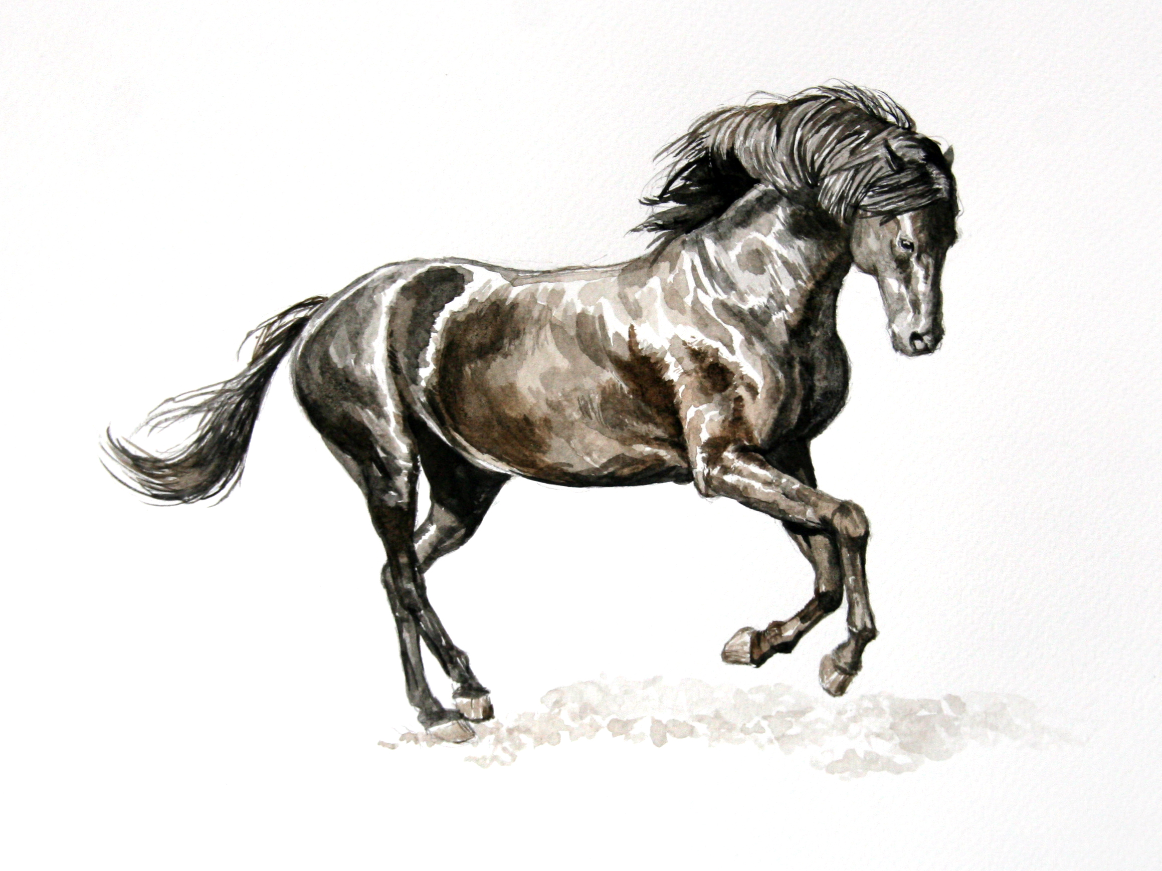2318x1738 Watercolor Horses - Watercolor Pictures Of Horses