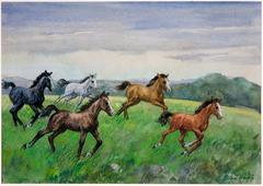 240x170 Diana Thorne - Watercolor Pictures Of Horses
