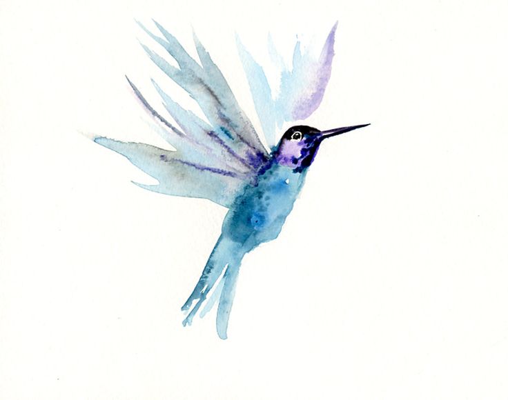 736x580 130 Best Hummingbird Images Watercolor Bird, Bird - Watercolor Pictures Of Hummingbirds