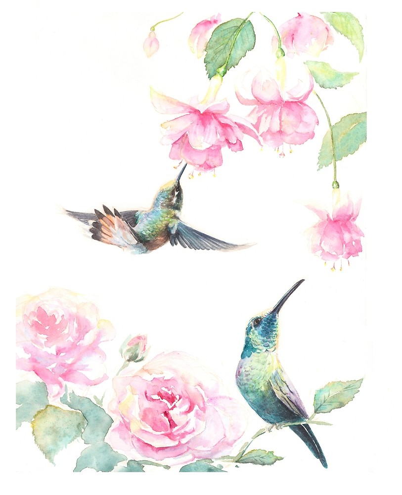 813x1000 Gift - Watercolor Pictures Of Hummingbirds