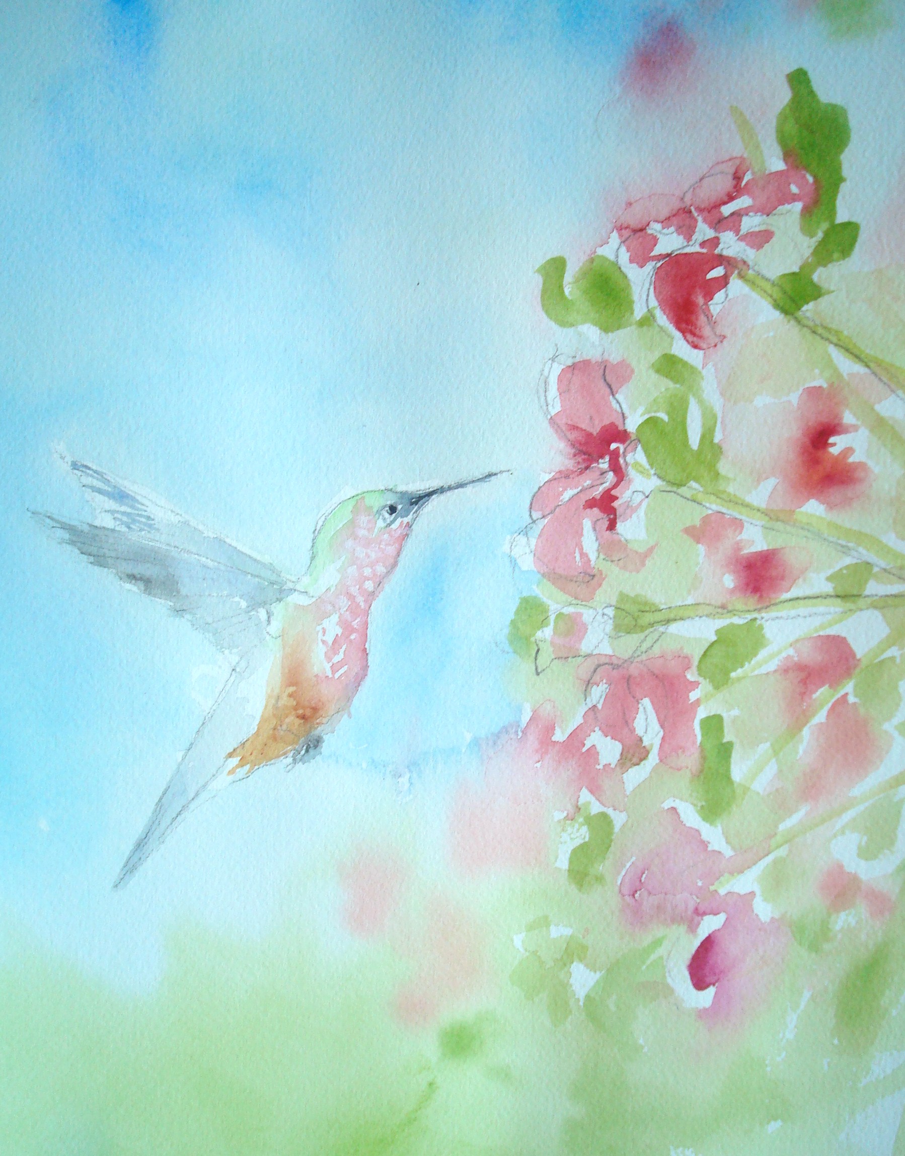1798x2298 How To Paint A Hummingbird In Watercolor (With Pictures) - Watercolor Pictures Of Hummingbirds