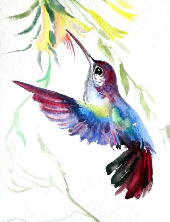 570x745 Hummingbird, Original Watercolor Painting 12 X 9 In, Flying - Watercolor Pictures Of Hummingbirds