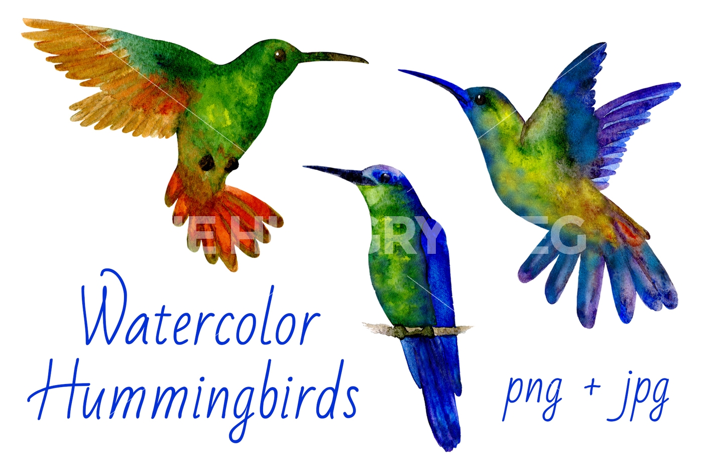 1400x933 Hummingbirds Watercolor By Svetlana Prikhnenko - Watercolor Pictures Of Hummingbirds
