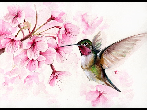 480x360 Watercolor Hummingbird And Cherry Blossom Ii Painting - Watercolor Pictures Of Hummingbirds