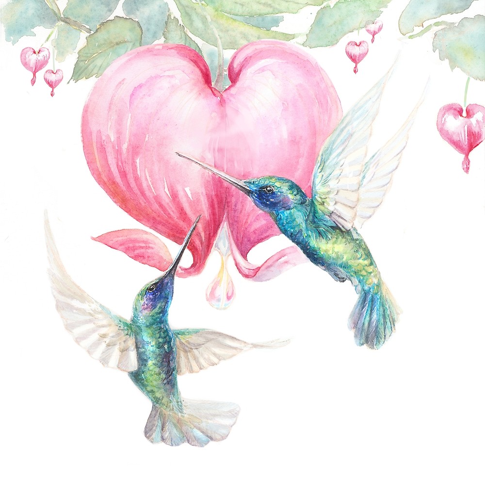 1000x1000 Bleeding Heart - Watercolor Pictures Of Hummingbirds