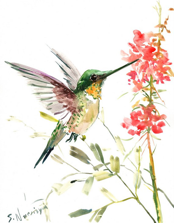570x733 Flying Hummingbird, Original Watercolor Painting, 12 X 9 In, Green - Watercolor Pictures Of Hummingbirds