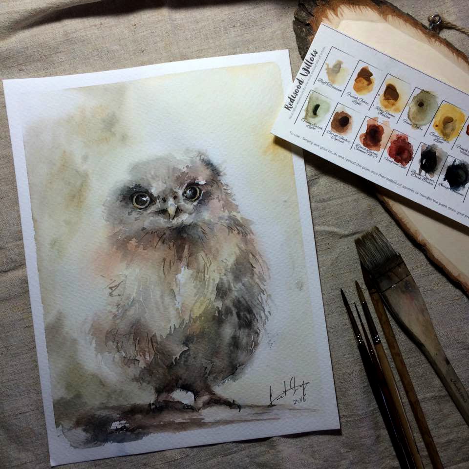 960x960 How To Paint A Watercolor Owl. Watercolour Demonstration By - Watercolor Pictures Of Owls