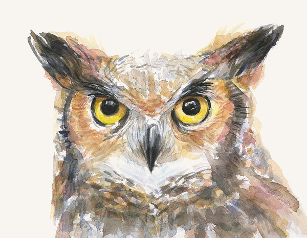600x466 Owl Paintings Fine Art America - Watercolor Pictures Of Owls