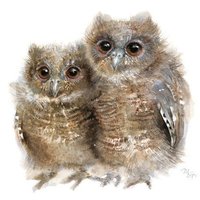 200x200 Owl Stuff - Watercolor Pictures Of Owls