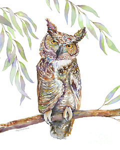 240x300 Owl Watercolor Paintings Fine Art America - Watercolor Pictures Of Owls